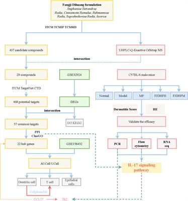 Fangji Dihuang formulation ameliorated DNCB-induced atopic dermatitis-like skin lesions by IL-17 signaling pathway: integrating network analysis and experimental validation